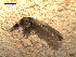  ( - MACN-Bar-Ins-ct 03488)  @12 [ ] Copyright (2012) MACN MACN