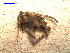  ( - MACN-Bar-Ins-ct 03503)  @12 [ ] Copyright (2012) MACN MACN