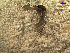  ( - MACN-Bar-Ins-ct 03939)  @12 [ ] Copyright (2012) MACN MACN