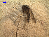  ( - MACN-Bar-Ins-ct 03972)  @12 [ ] Copyright (2012) MACN MACN