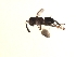  ( - SG70.1)  @11 [ ] Unspecified (default): All Rights Reserved  Unspecified Unspecified