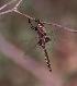  ( - 416A-02_COI)  @11 [ ] No Rights Reserved (2018) Unspecified U.S. EPA GLTED