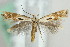  ( - MM21392)  @13 [ ] CreativeCommons - Attribution Non-Commercial (2012) Marko Mutanen University of Oulu