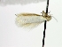  ( - MM16704)  @12 [ ] Unspecified (default): All Rights Reserved  Unspecified Unspecified