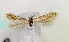  ( - MM16791)  @12 [ ] Unspecified (default): All Rights Reserved  Unspecified Unspecified