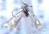  ( - MM20839)  @13 [ ] No Rights Reserved (2011) Marko Mutanen University of Oulu