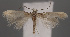  ( - MZH_NJ.254)  @11 [ ] by-nc (2022) Erkka Laine University of Oulu