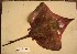  ( - 2G08D6ROX)  @12 [ ] Unspecified (default): All Rights Reserved  Unspecified Unspecified