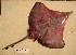  ( - 2G08D6ROX)  @12 [ ] Unspecified (default): All Rights Reserved  Unspecified Unspecified