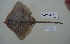  ( - 3G08D13RCL)  @14 [ ] Unspecified (default): All Rights Reserved  Unspecified Unspecified