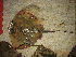  ( - EL0062)  @11 [ ] CreativeCommons - Attribution Non-Commercial Share-Alike (2011) Fausto Tinti University of Bologna - Italy