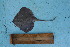  ( - CY-09-026)  @12 [ ] Unspecified (default): All Rights Reserved  Unspecified Unspecified