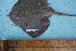  ( - CY-09-026)  @12 [ ] Unspecified (default): All Rights Reserved  Unspecified Unspecified