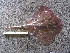  ( - RA000686)  @13 [ ] Unspecified (default): All Rights Reserved  Unspecified Unspecified
