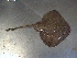  ( - RA001542)  @12 [ ] Unspecified (default): All Rights Reserved  Unspecified Unspecified