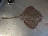  ( - RA001543)  @13 [ ] Unspecified (default): All Rights Reserved  Unspecified Unspecified