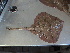  ( - RA001619)  @12 [ ] Unspecified (default): All Rights Reserved  Unspecified Unspecified