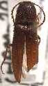  ( - ELAT144)  @11 [ ] Unspecified (default): All Rights Reserved  Unspecified Unspecified