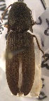  ( - ELAT166)  @11 [ ] Unspecified (default): All Rights Reserved  Unspecified Unspecified