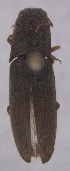  ( - ELAT167)  @11 [ ] Unspecified (default): All Rights Reserved  Unspecified Unspecified