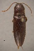  ( - ELAT014)  @11 [ ] Unspecified (default): All Rights Reserved  Unspecified Unspecified