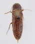  ( - ELAT030)  @12 [ ] Unspecified (default): All Rights Reserved  Unspecified Unspecified