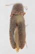  ( - ELAT053)  @11 [ ] Unspecified (default): All Rights Reserved  Unspecified Unspecified