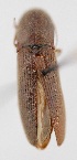  ( - ELAT064)  @12 [ ] Unspecified (default): All Rights Reserved  Unspecified Unspecified