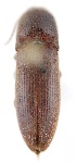  ( - ELAT072)  @11 [ ] Unspecified (default): All Rights Reserved  Unspecified Unspecified