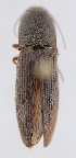  ( - ELAT088)  @12 [ ] Unspecified (default): All Rights Reserved  Unspecified Unspecified
