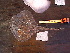  ( - RR001323)  @11 [ ] CreativeCommons - Attribution Non-Commercial Share-Alike (2017) Unspecified University of Bologna