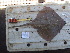  ( - RR001347)  @11 [ ] CreativeCommons  Attribution Non-Commercial Share-Alike (2017) Unspecified University of Bologna