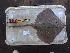  ( - RR001363)  @11 [ ] CreativeCommons  Attribution Non-Commercial Share-Alike (2017) Unspecified University of Bologna