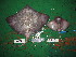  ( - RA002504)  @11 [ ] CreativeCommons  Attribution Share-Alike (by-sa) (2017) Unspecified University of Bologna, Genetics for Environmental and Fishery Resources Lab
