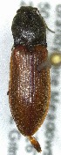  ( - SRG0181)  @11 [ ] Unspecified (default): All Rights Reserved  Unspecified Unspecified