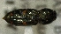  ( - SRG0435)  @11 [ ] Unspecified (default): All Rights Reserved  Unspecified Unspecified