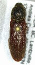  ( - SRG0234)  @11 [ ] Unspecified (default): All Rights Reserved  Unspecified Unspecified