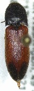  ( - SRG0265)  @11 [ ] Unspecified (default): All Rights Reserved  Unspecified Unspecified