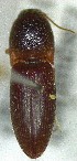  ( - SRG0281)  @11 [ ] Unspecified (default): All Rights Reserved  Unspecified Unspecified