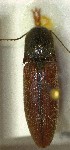  ( - SRG009)  @11 [ ] Unspecified (default): All Rights Reserved  Unspecified Unspecified