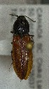  ( - SRG0355)  @11 [ ] Unspecified (default): All Rights Reserved  Unspecified Unspecified