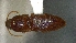  ( - SRG0379)  @11 [ ] Unspecified (default): All Rights Reserved  Unspecified Unspecified