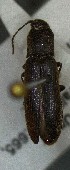  ( - SRG0384)  @11 [ ] Unspecified (default): All Rights Reserved  Unspecified Unspecified