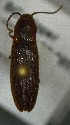  ( - SRG0390)  @11 [ ] Unspecified (default): All Rights Reserved  Unspecified Unspecified
