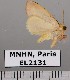  ( - EL2131)  @13 [ ] CreativeCommons - Attribution (2015) MNHN Muséum national d'Histoire naturelle