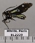  ( - EL2229)  @13 [ ] CreativeCommons - Attribution (2015) MNHN Mus&eacute;um national d'Histoire naturelle