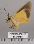  ( - EL2251)  @13 [ ] CreativeCommons - Attribution (2015) MNHN Muséum national d'Histoire naturelle