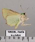  ( - EL2268)  @14 [ ] CreativeCommons - Attribution (2015) MNHN Muséum national d'Histoire naturelle