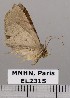  ( - EL2315)  @12 [ ] CreativeCommons - Attribution (2015) MNHN Muséum national d'Histoire naturelle