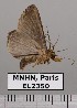  ( - EL2350)  @12 [ ] CreativeCommons - Attribution (2015) MNHN Muséum national d'Histoire naturelle
